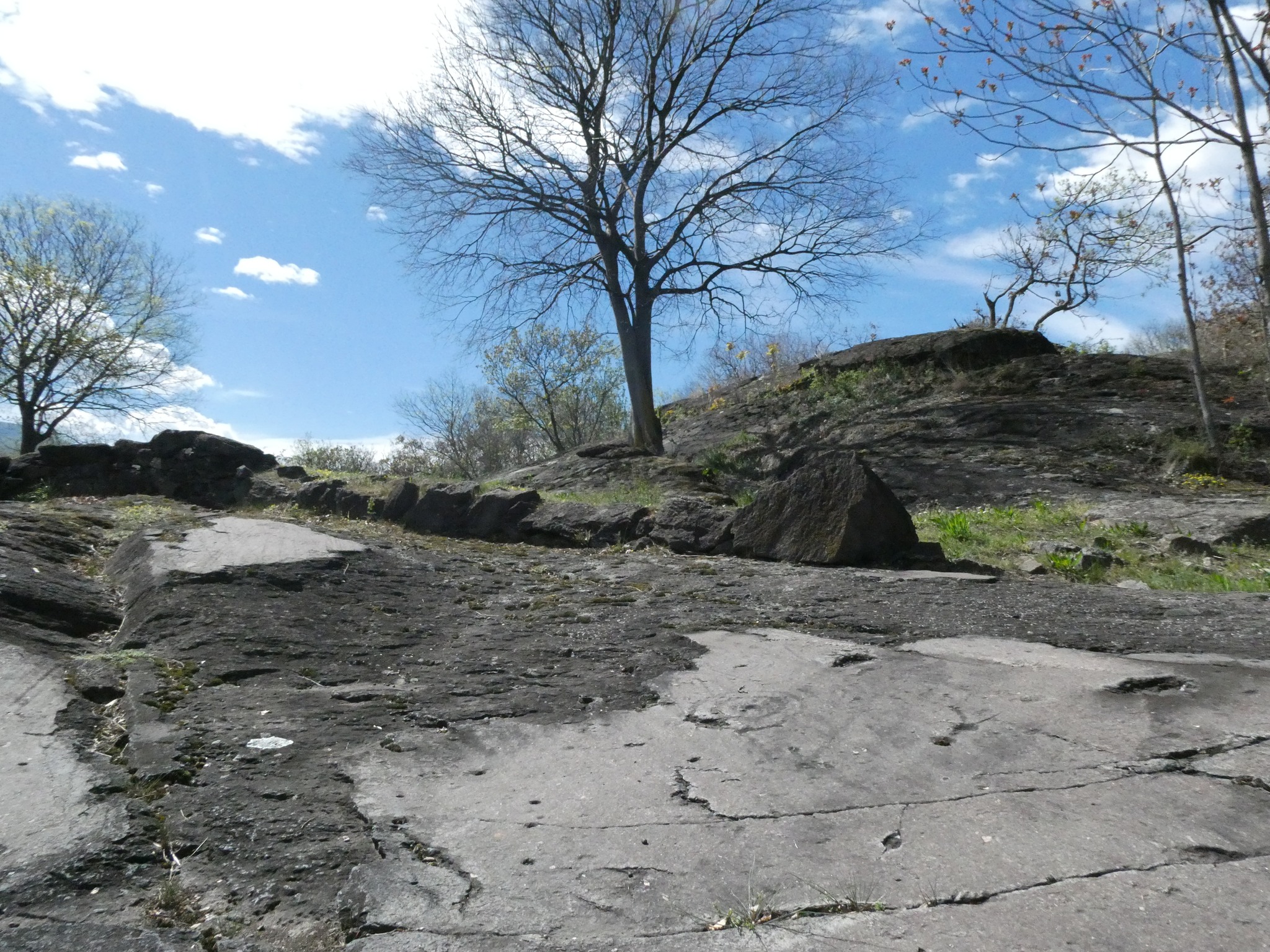 Parco archeologico di Luine