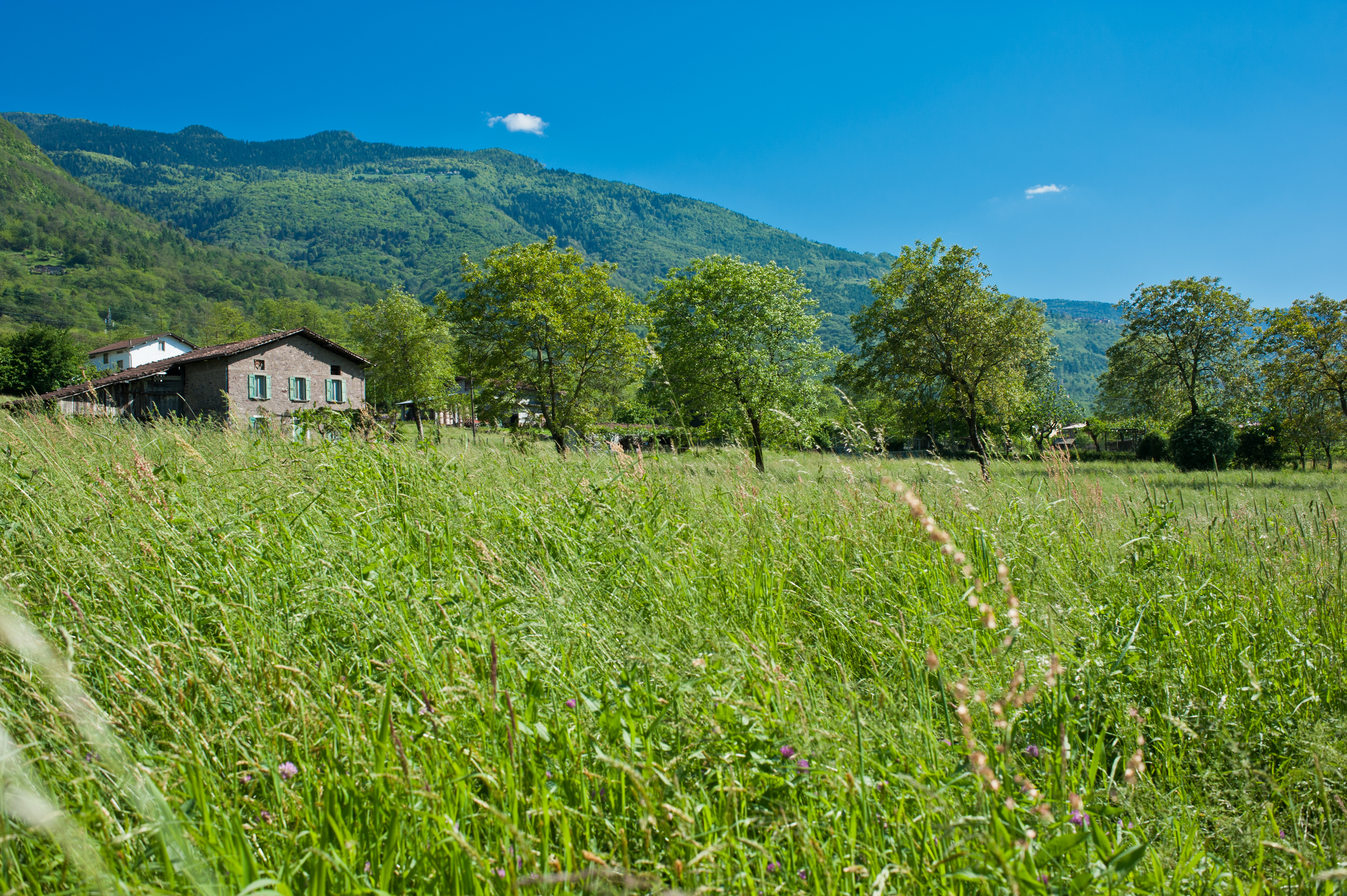 Giornata nazionale del Trekking Urbano